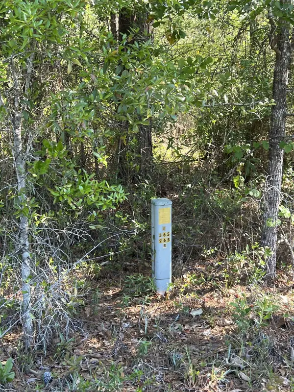 xx Old Federal Road, Quincy, FL 32351