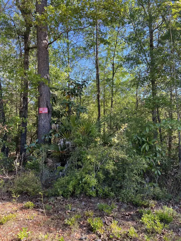 xx Old Federal Road, Quincy, FL 32351