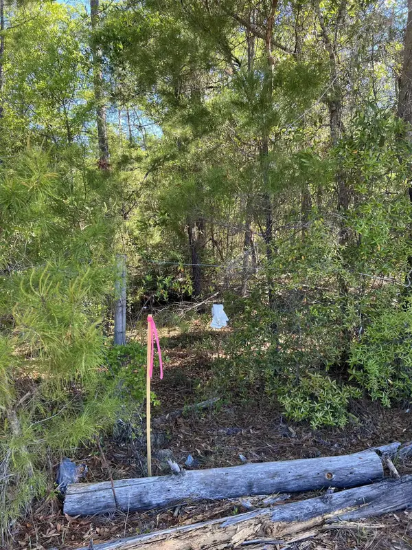 45 Old Fereal Highway, Quincy, FL 32351