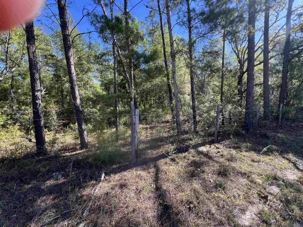 45 Old Fereal Highway, Quincy, FL 32351