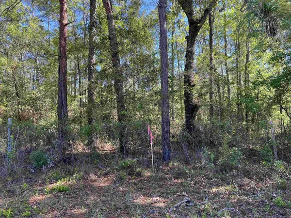 45 Old Fereal Highway, Quincy, FL 32351