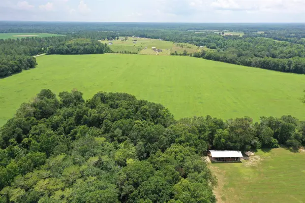 xx Max Herrin Road, Quincy, FL 32351