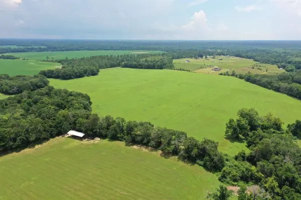 xx Max Herrin Road, Quincy, FL 32351