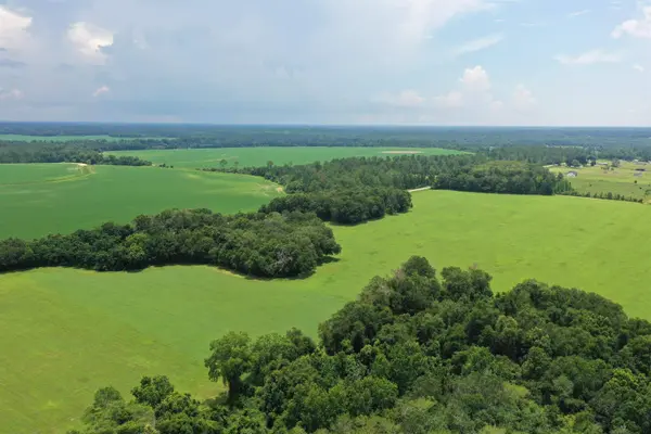 xx Max Herrin Road, Quincy, FL 32351