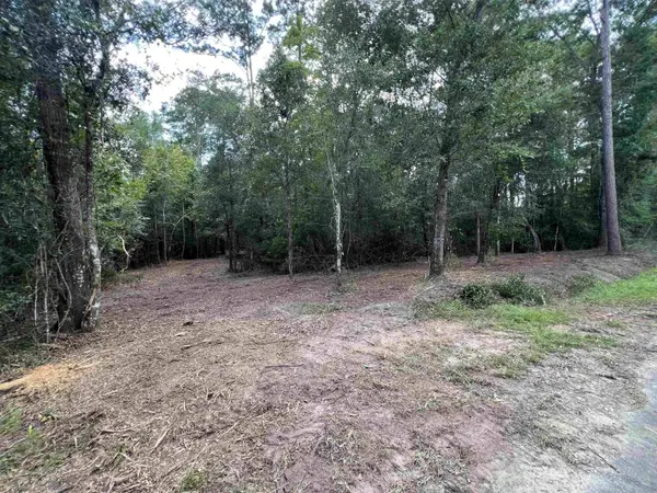 xx Chaff Chason Lane, Quincy, FL 32352