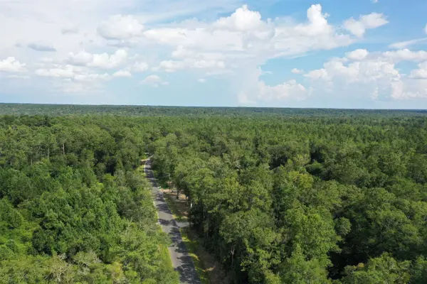 xx Chaff Chason Lane, Quincy, FL 32352