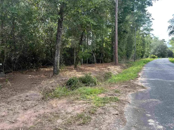 xx Chaff Chason Lane, Quincy, FL 32352