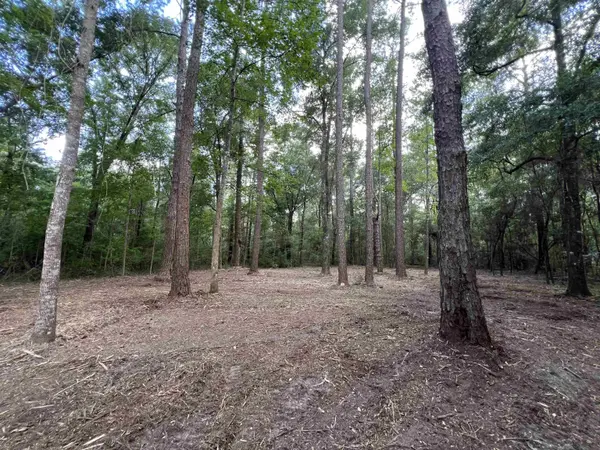 xx Chaff Chason Lane, Quincy, FL 32352