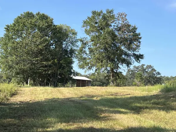 397 Winchester Lane, Quincy, FL 32351