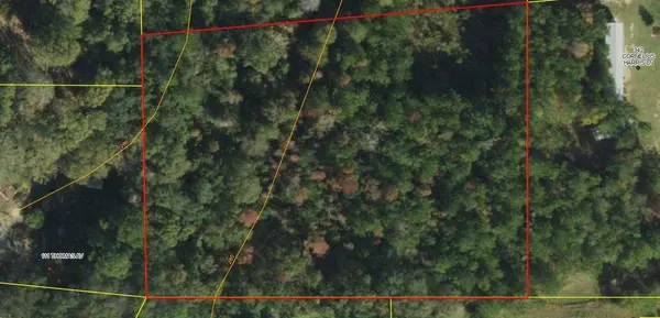 xx Blue Star Highway, Quincy, FL 32351