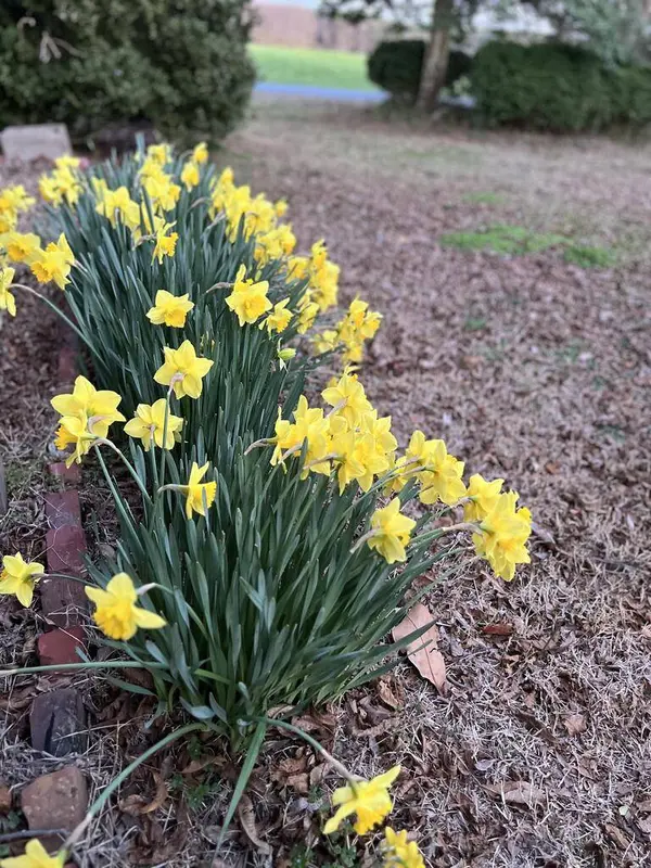 27202 Seaside Rd, Cape Charles, VA 23312
