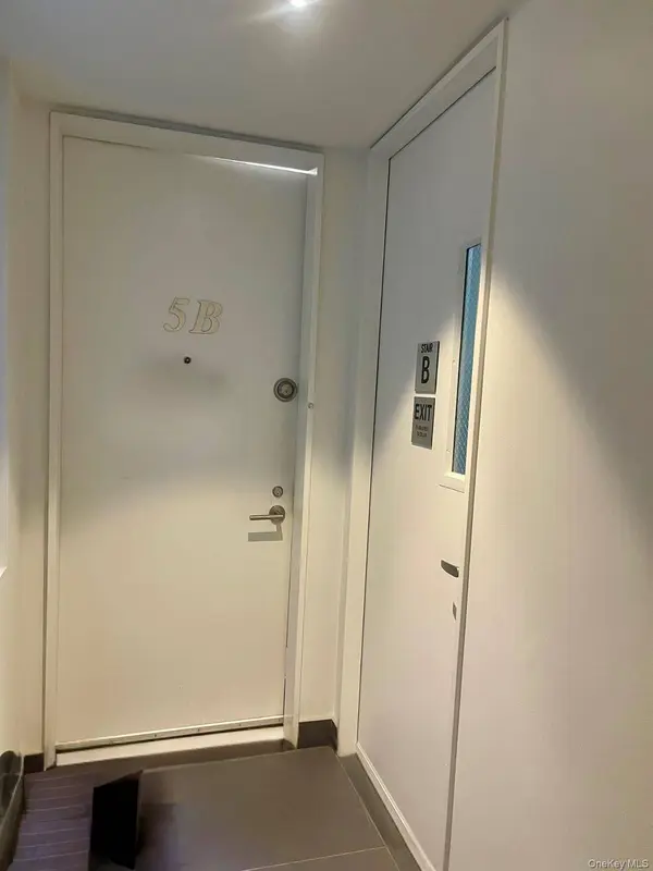 119 Fulton ST #5B, New York (manhattan), NY 10038