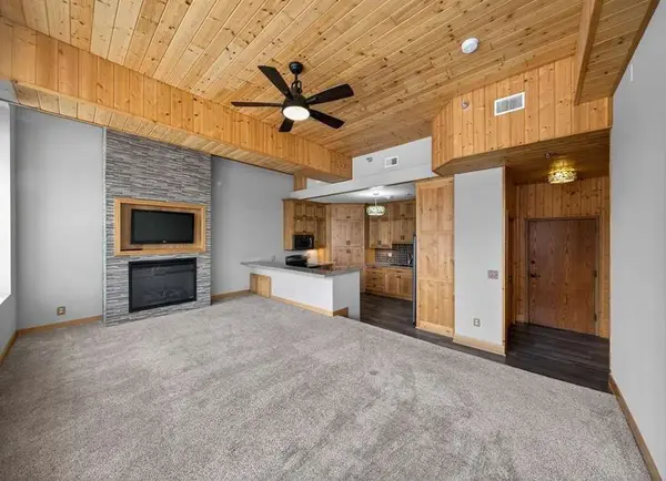 201 Ridgeview LN S #201, Lanesboro, MN 55949