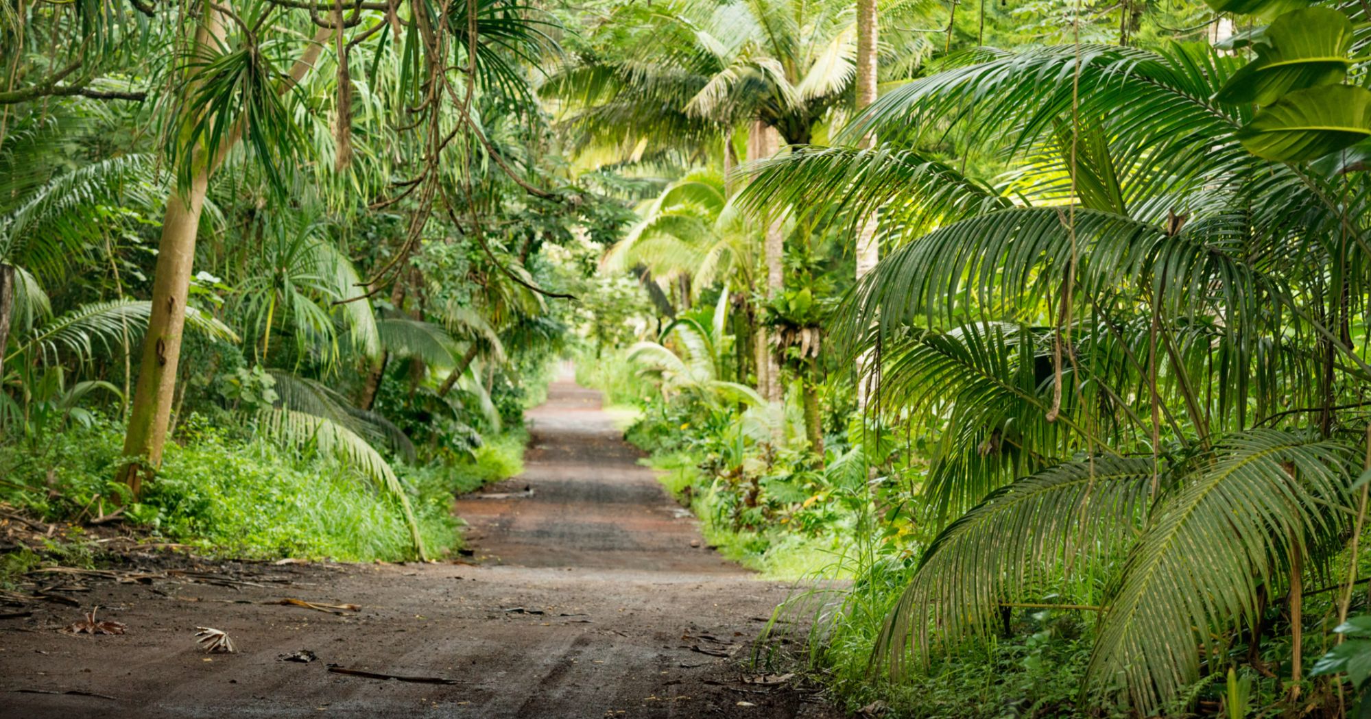 Pahoa