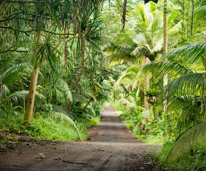 Pahoa