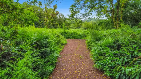ALA LOOP, Mountain View, HI 96771