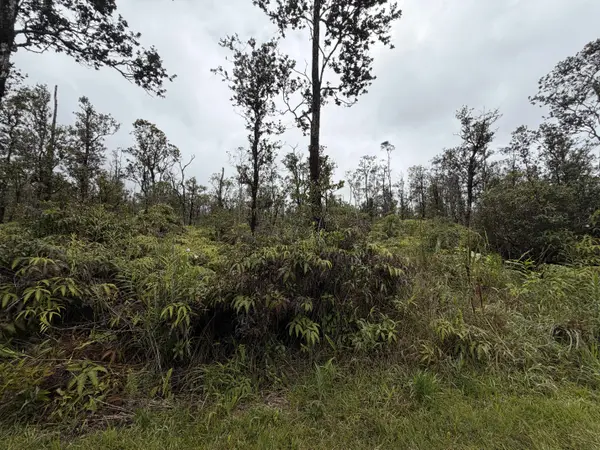 ALA NAULANI RD, Volcano, HI 96785