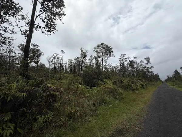 ALA NAULANI RD, Volcano, HI 96785