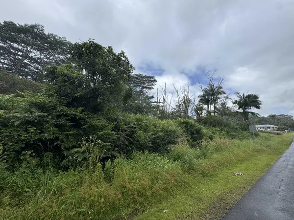 17-4113 KUKUI CAMP RD, Mountain View, HI 96771