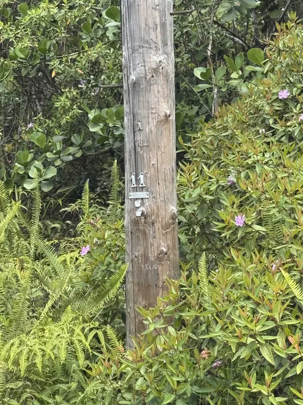 34TH AVE, Kurtistown, HI 96760