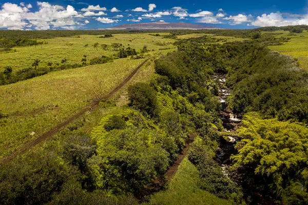 27-640 LA RD, Papaikou, HI 96781