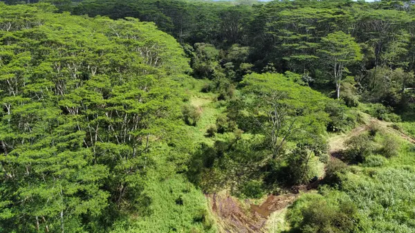 17-4070 KUKUI CAMP RD, Mountain View, HI 96771