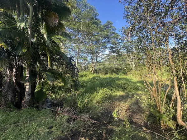 17-4070 KUKUI CAMP RD, Mountain View, HI 96771