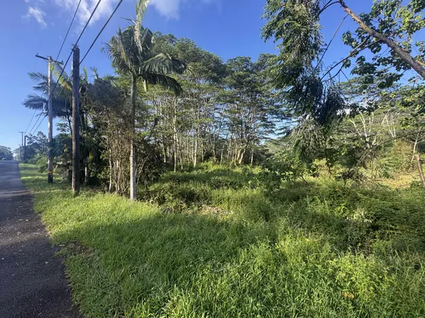 17-4070 KUKUI CAMP RD, Mountain View, HI 96771