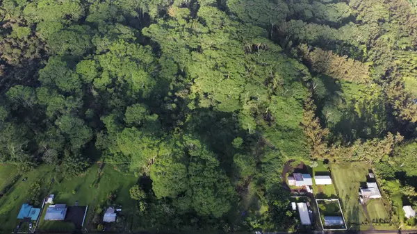 17-4070 KUKUI CAMP RD, Mountain View, HI 96771