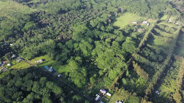 17-4070 KUKUI CAMP RD, Mountain View, HI 96771