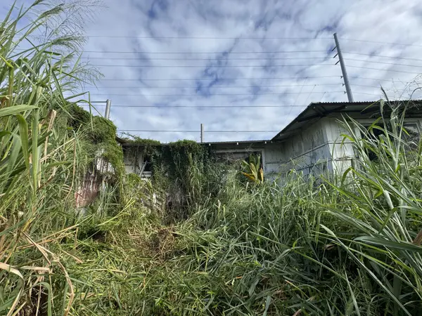 439 KAWAILANI ST, Hilo, HI 96720