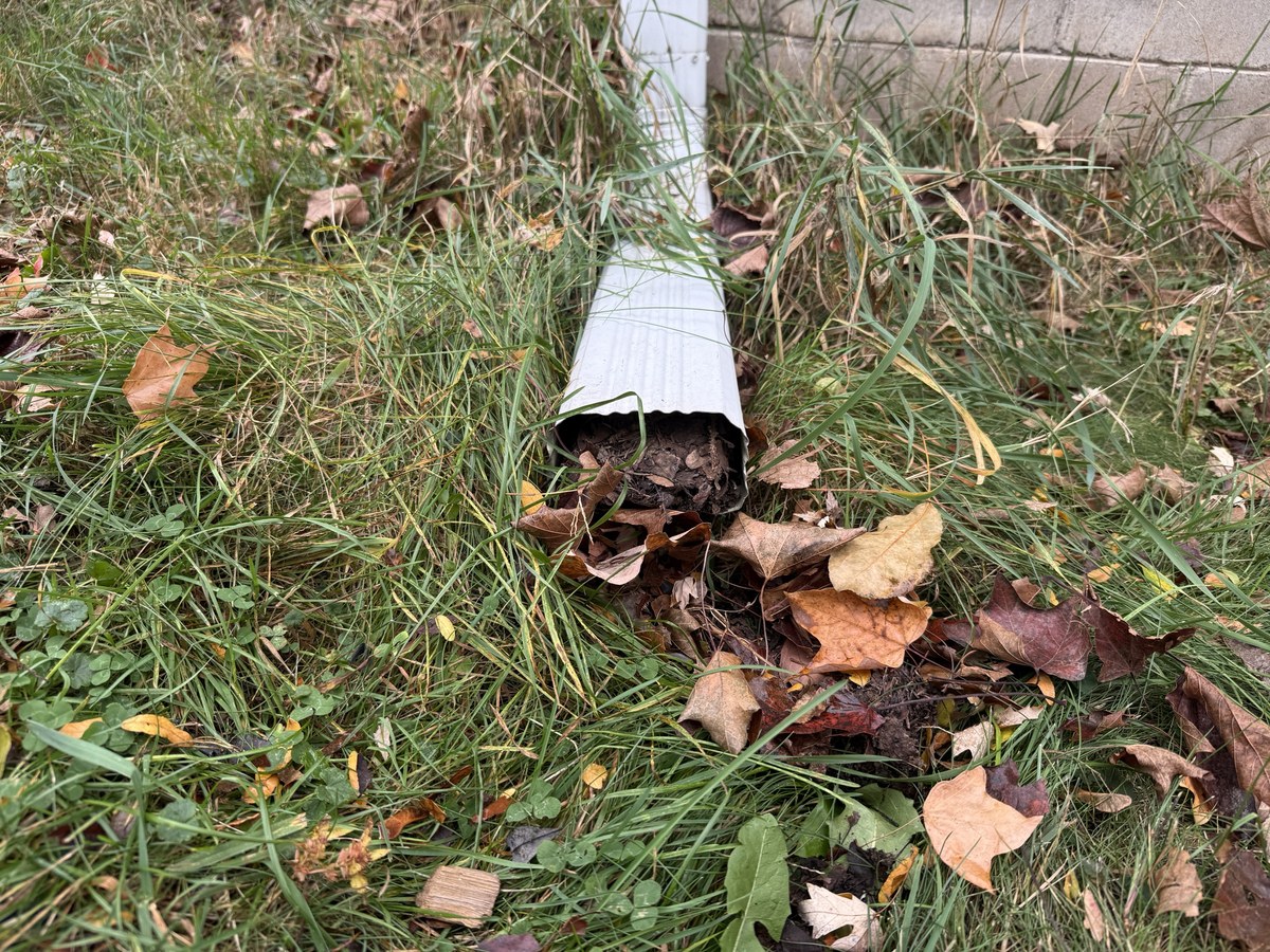 Downspout clogged with wet leaves and debris lying in the grass beside a foundation wall
