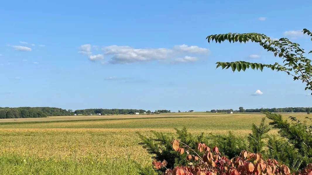 Pittsboro