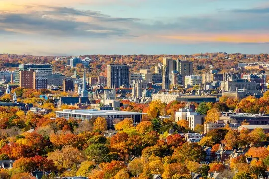 New Haven