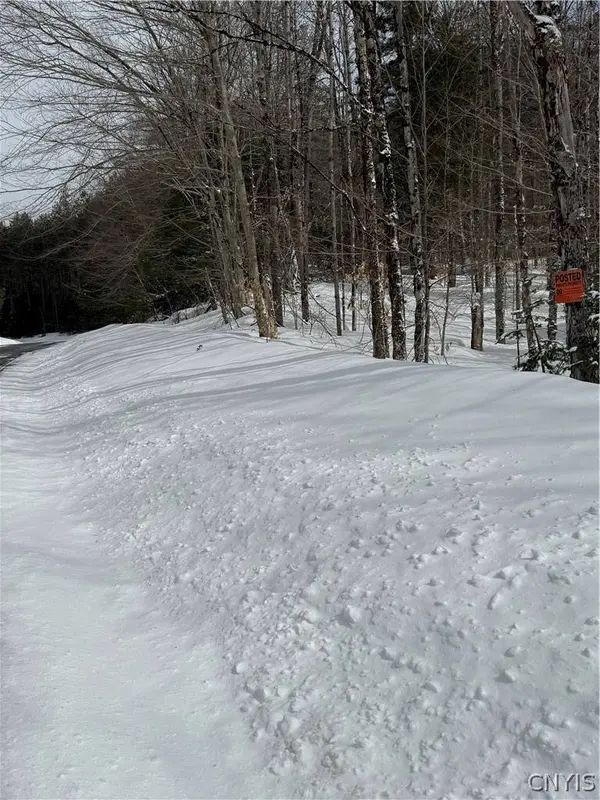 Lot #3 Roberts RD, Remsen, NY 13438