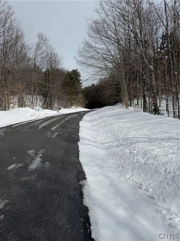 Lot #3 Roberts RD, Remsen, NY 13438