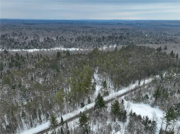 Lot #2 Roberts RD, Remsen, NY 13438