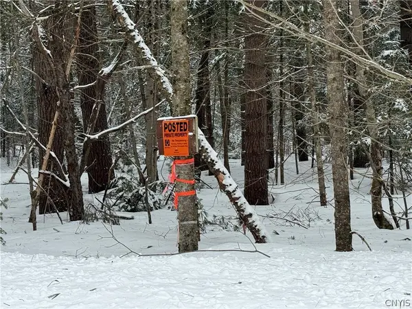 Lot #2 Roberts RD, Remsen, NY 13438