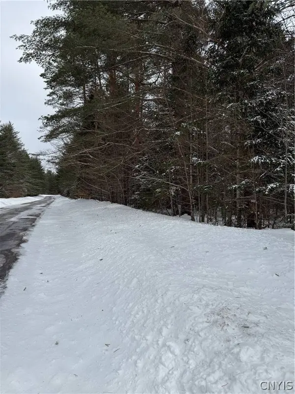 Lot #2 Roberts RD, Remsen, NY 13438