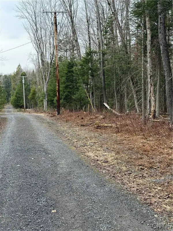 Meekerville RD, Forestport, NY 13338
