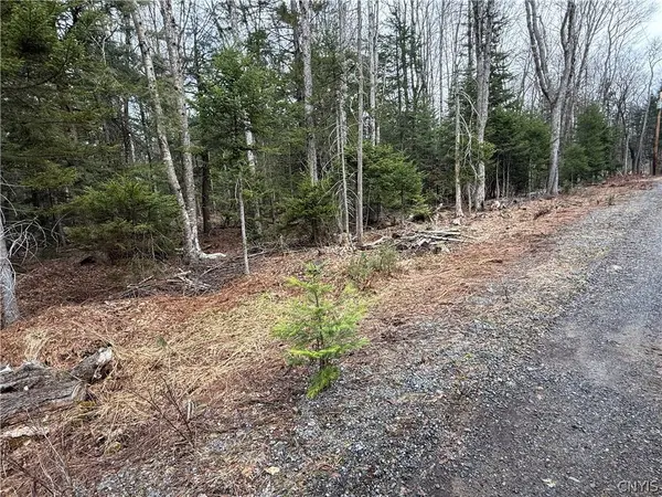 Meekerville RD, Forestport, NY 13338