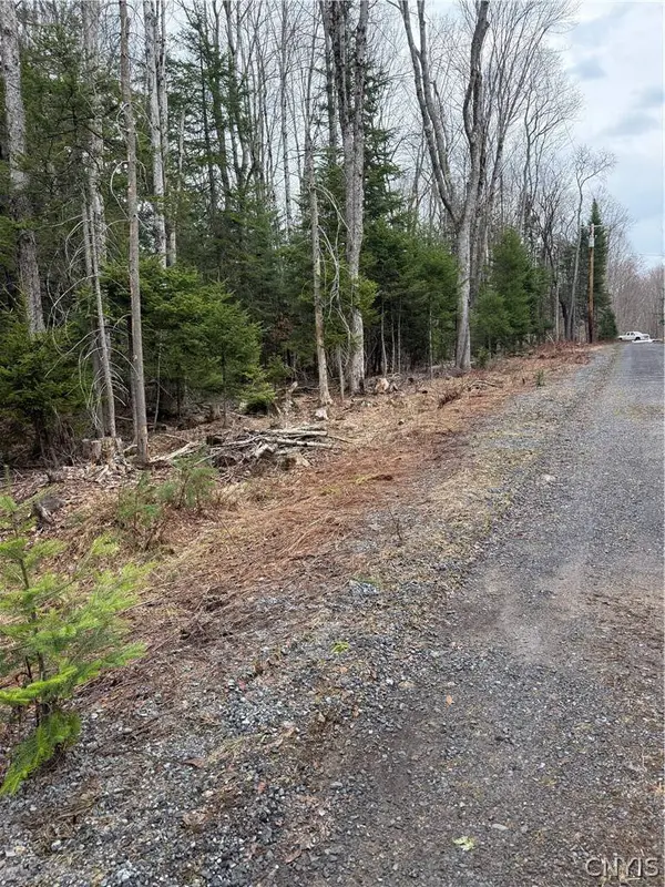Meekerville RD, Forestport, NY 13338