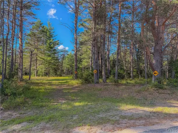11023 Pit Four RD, Forestport, NY 13338