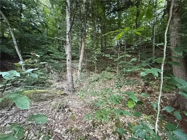Lot #2 River RD, Boonville, NY 13309