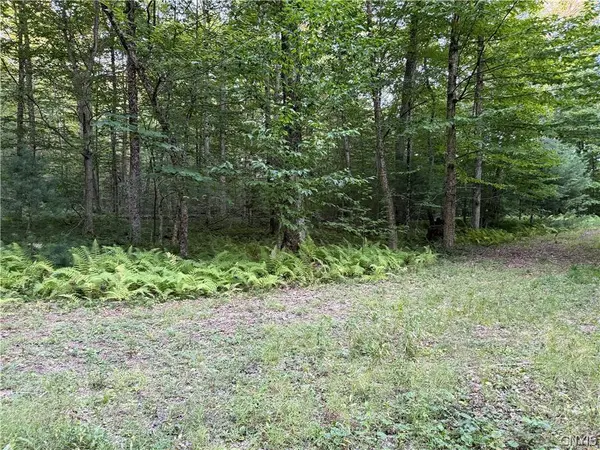 Lot 1 River RD, Boonville, NY 13309