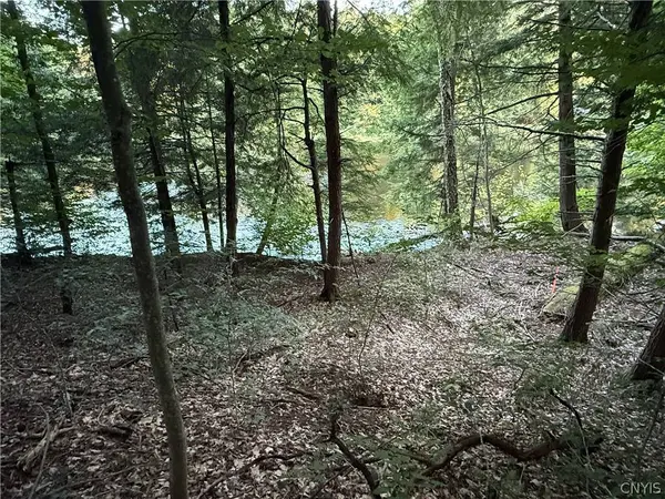 Lot 1 River RD, Boonville, NY 13309