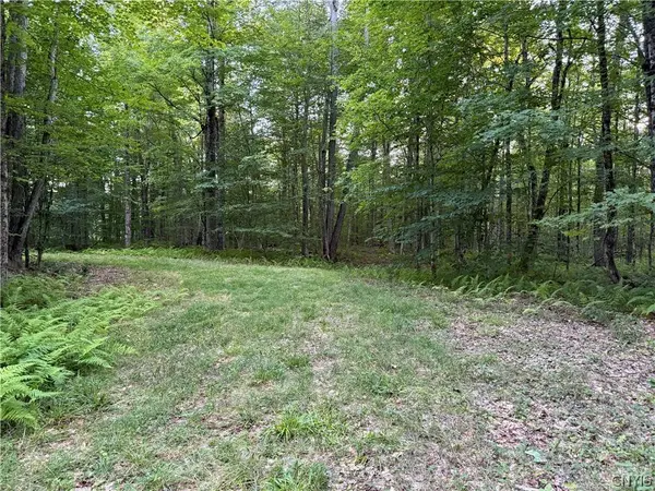 Lot 1 River RD, Boonville, NY 13309