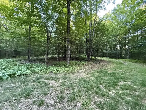 Lot #2 River RD, Boonville, NY 13309