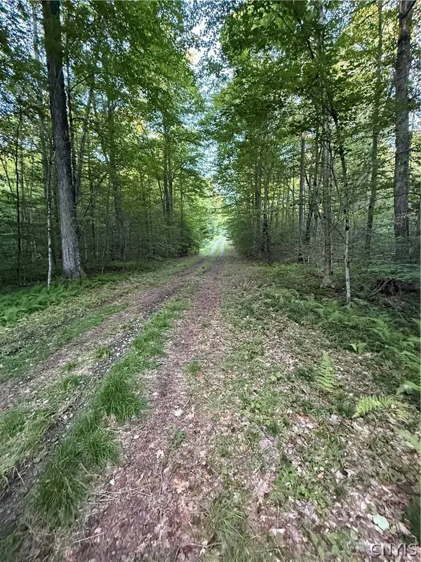 Lot #2 River RD, Boonville, NY 13309