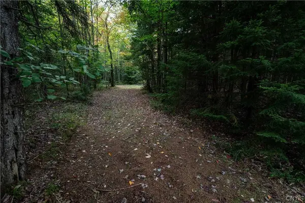 292 Hughes Rd., Forestport, NY 13338